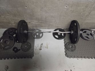 Olympic Weight Set (205 lbs in Plates) + EZ Curl Bar & Collars