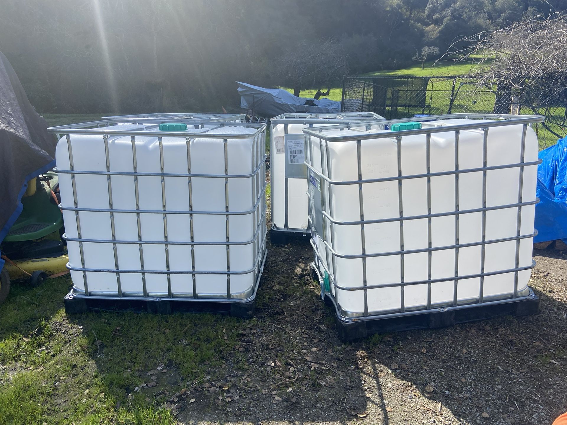 IBC Totes