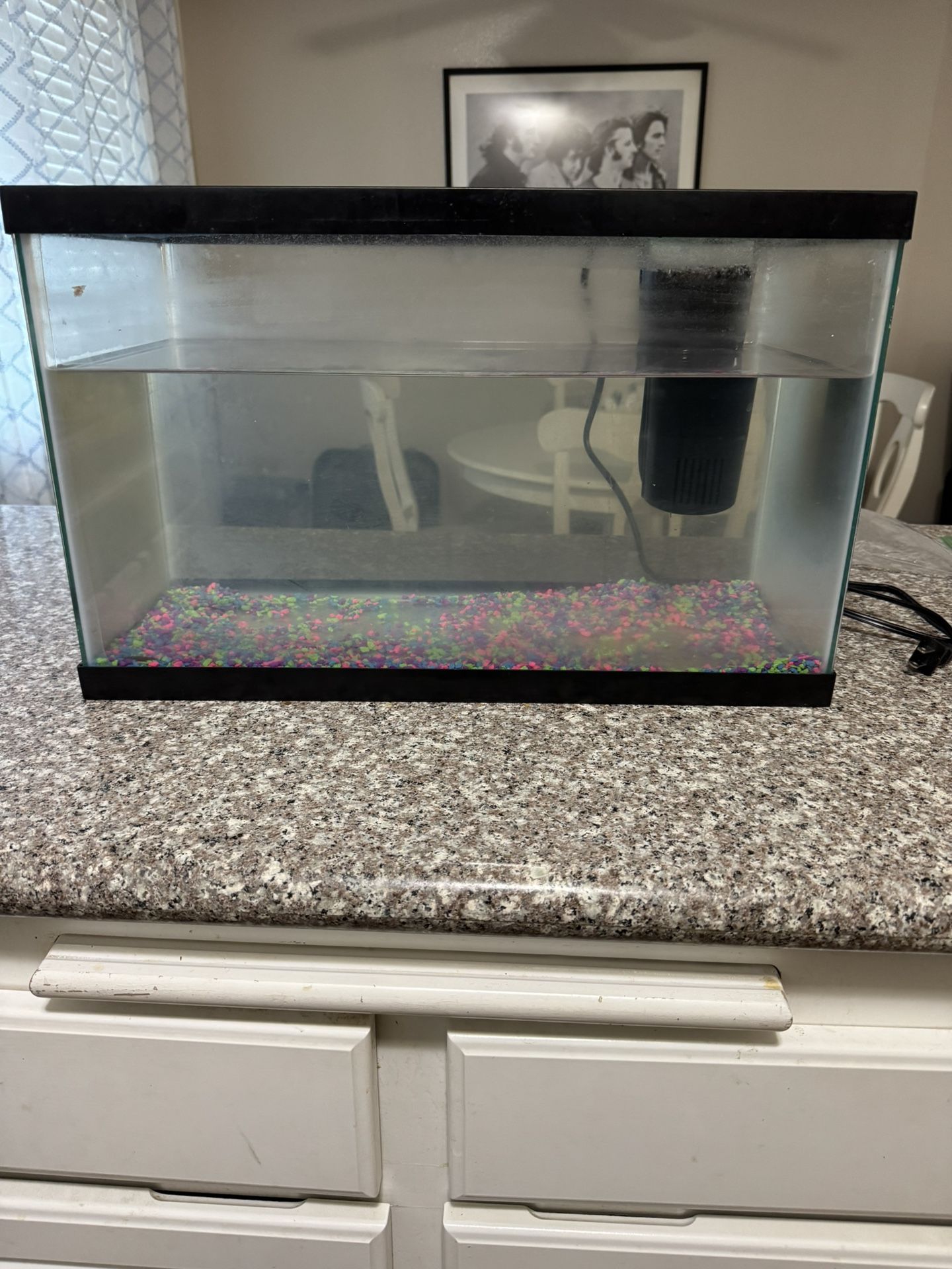 10 Gallon Fish Tank