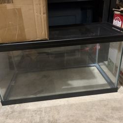 20 Gallon Tank 