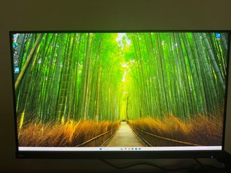 Acer Predator 165hz