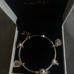 Harry Potter Pandora Bracelet 
