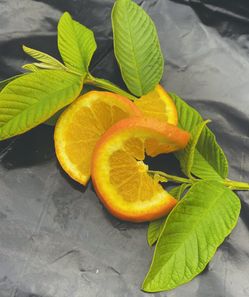 Oranges For Sell Come Pick Up