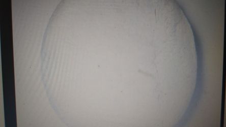 Faux Fur Floor Pillowfort