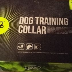 Dog Training Collar