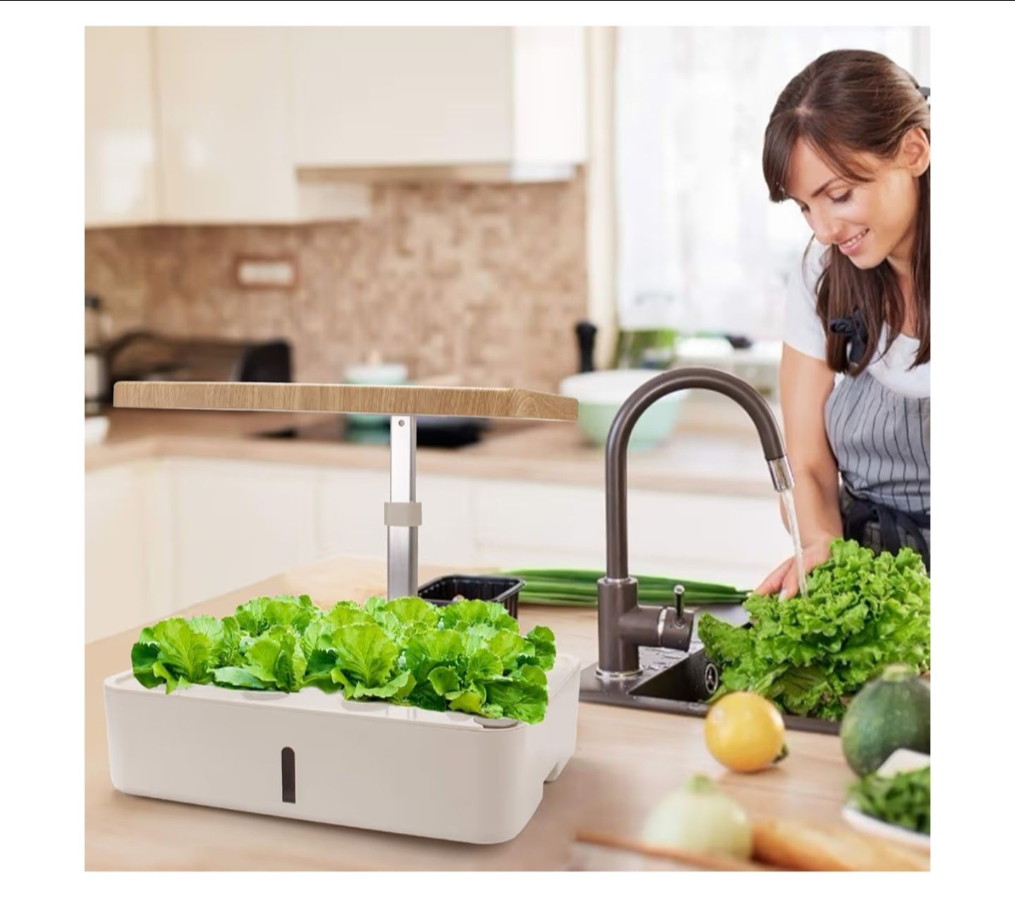 Hydrophonic Planter