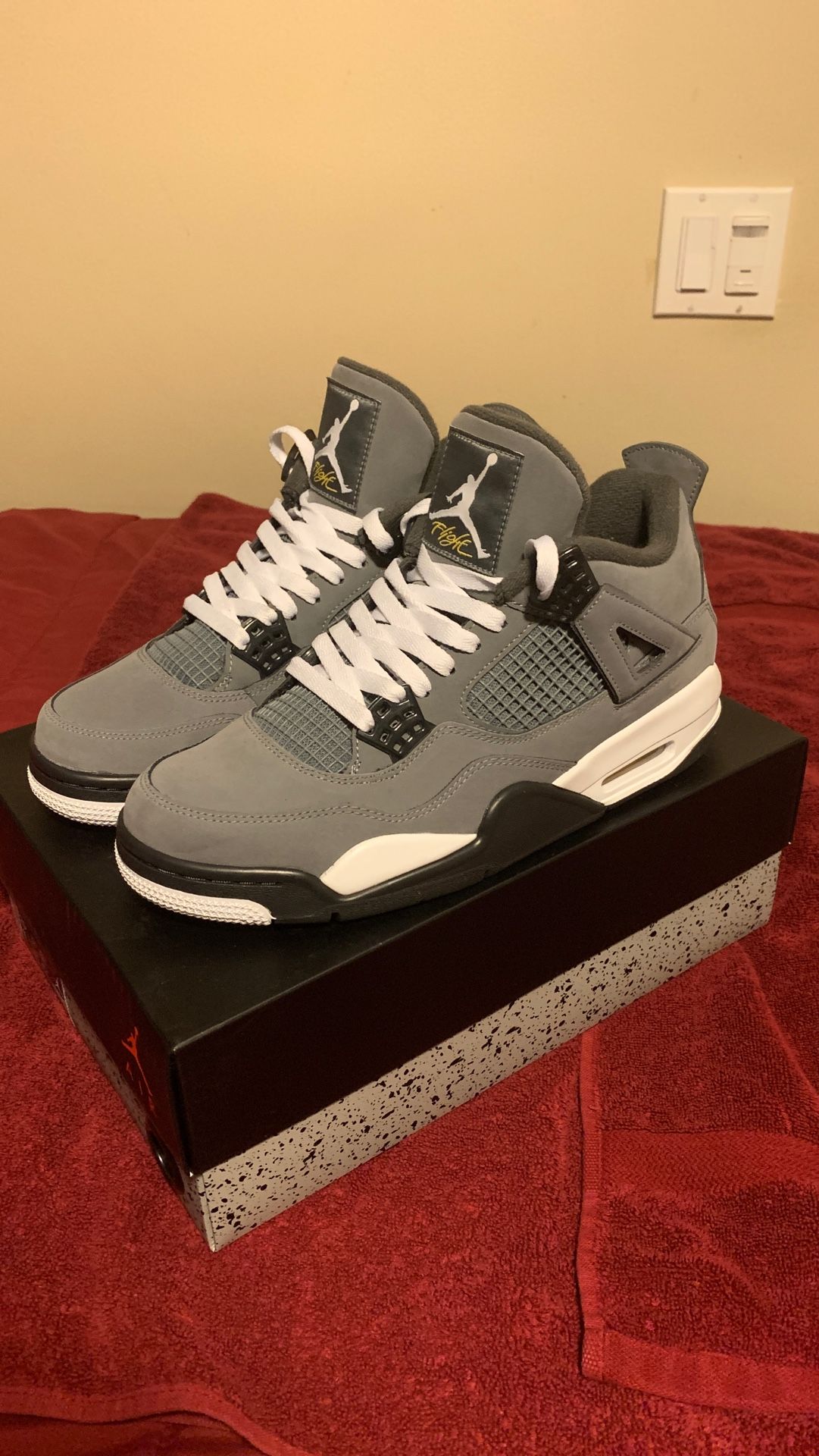 Air Jordan 4 cool grey