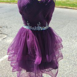 Purple Strapless Corset Knee Length Dress Size 2 & 8