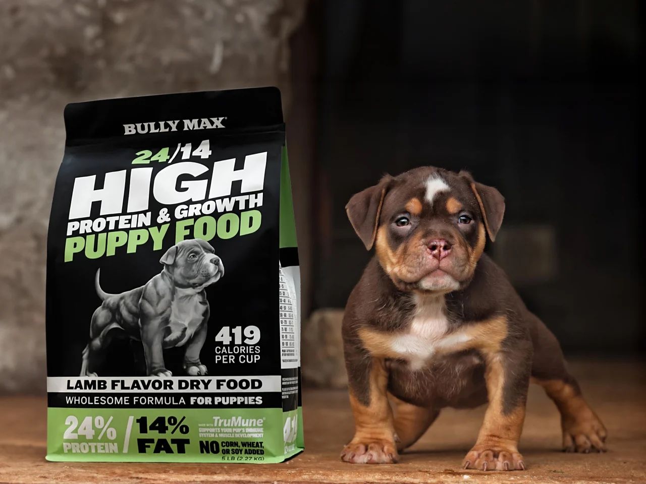 Dog Food