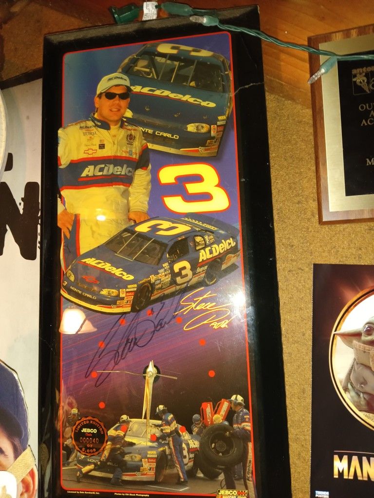 Steve Park Nascar