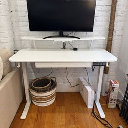 Electric Standing Desk 