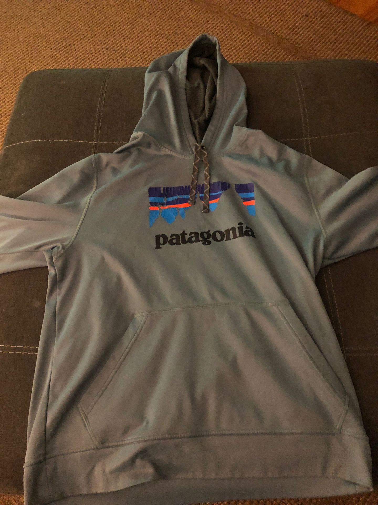 Patagonia sweatshirt