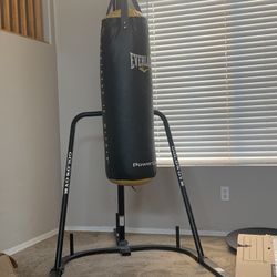 Everlast Boxing Bag 
