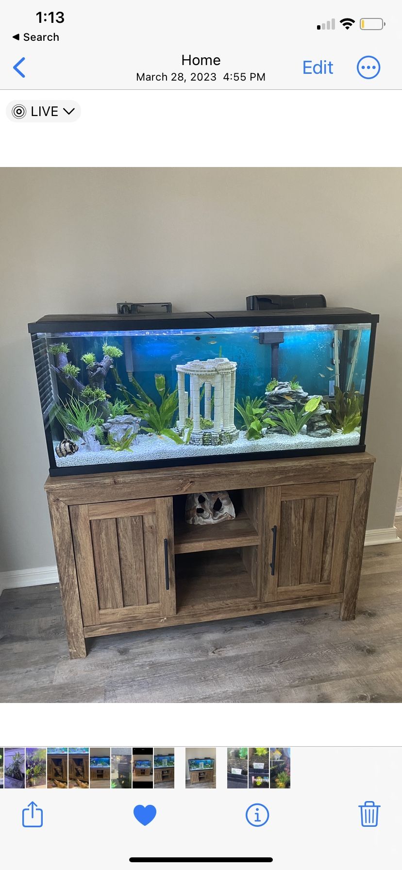 55 Inch Fish Tank