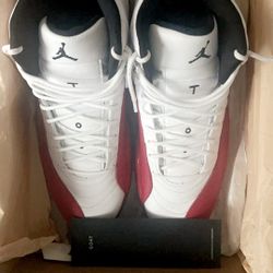 Jordan Cherry 12s 