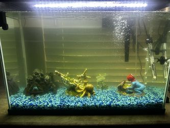 30 Gallon Fish Tank