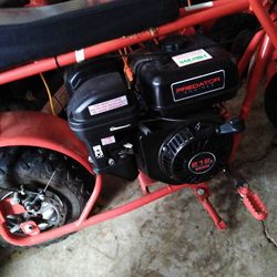 Mini Bike With New Predator Motor Really Good Condition
