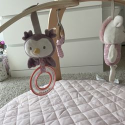 Baby Play Gym 