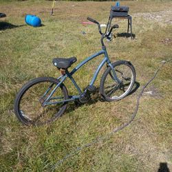 Beach Cruiser