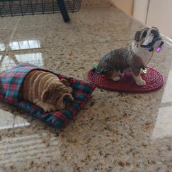 Set Of Bulldog Figurines 