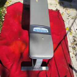 IRON STRENGTH  FLAT BENCH  WITH DUMBBELL RAIL  UNDERNEATH 
EXCELLENT CONDITION 
11525 S HALSTED DUNKIN DONUTS 
30$   CASH ONLY AS IS 