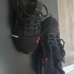 Pumas 