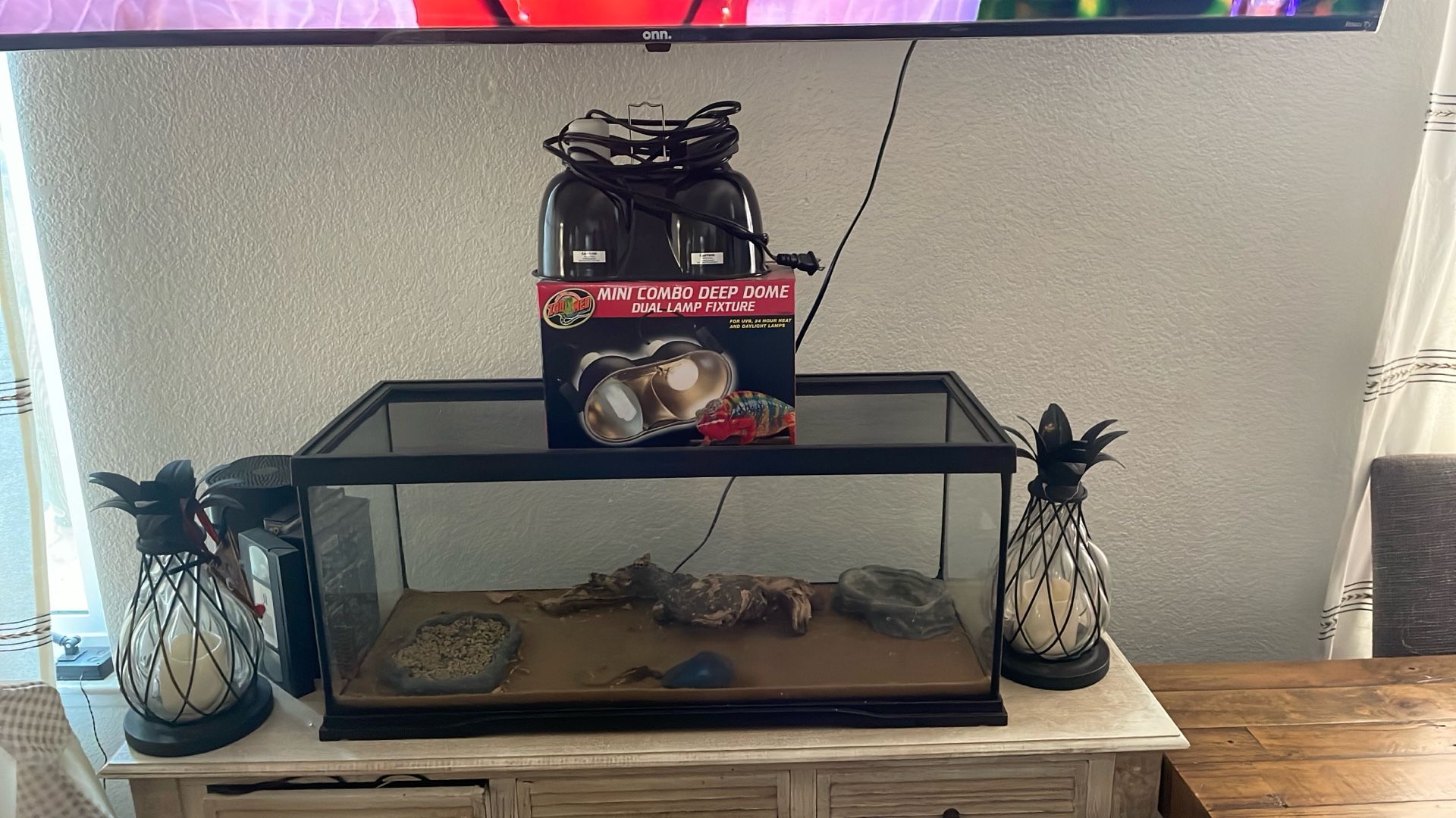 Reptile/Tank