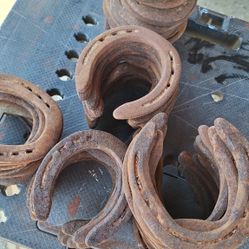 Rustic Western Horseshoes - 100+
