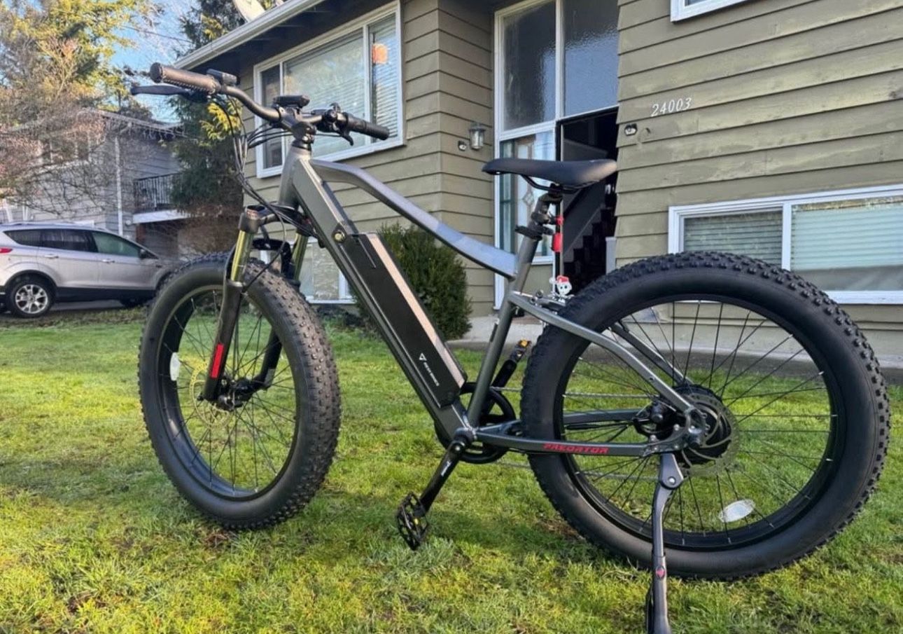Electric Mountain Bike