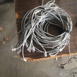 Cat 5 Patch Cables (bundle)