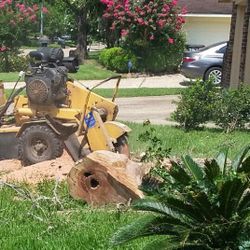 Stump Grinding