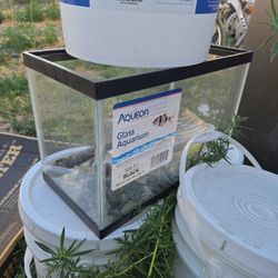 Plain fish tank