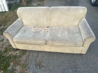 Free Hide-a-bed sofa