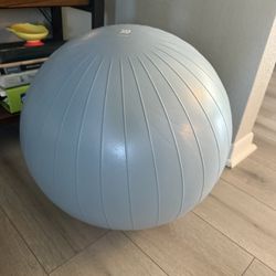 Workout Ball 
