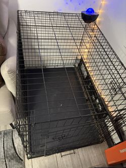 dog crate