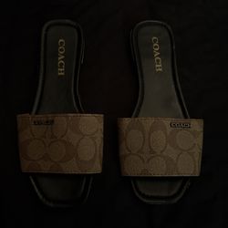 Coach Sandal Dupes