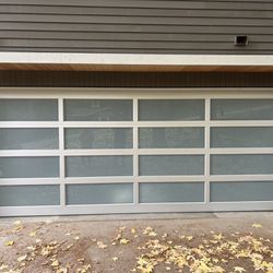 LiftMaster Garage Door Opener and garage Door