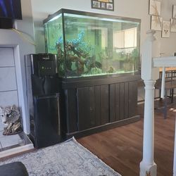 150gl Fish Tank 