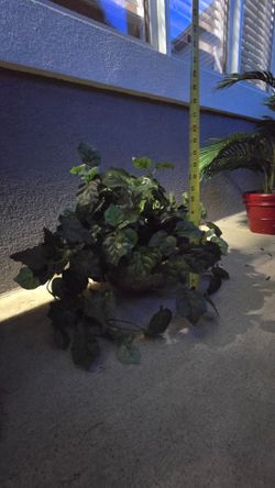 Artificial plant- 14 inches