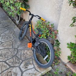 Trek Precaliber 20" Kids Bike