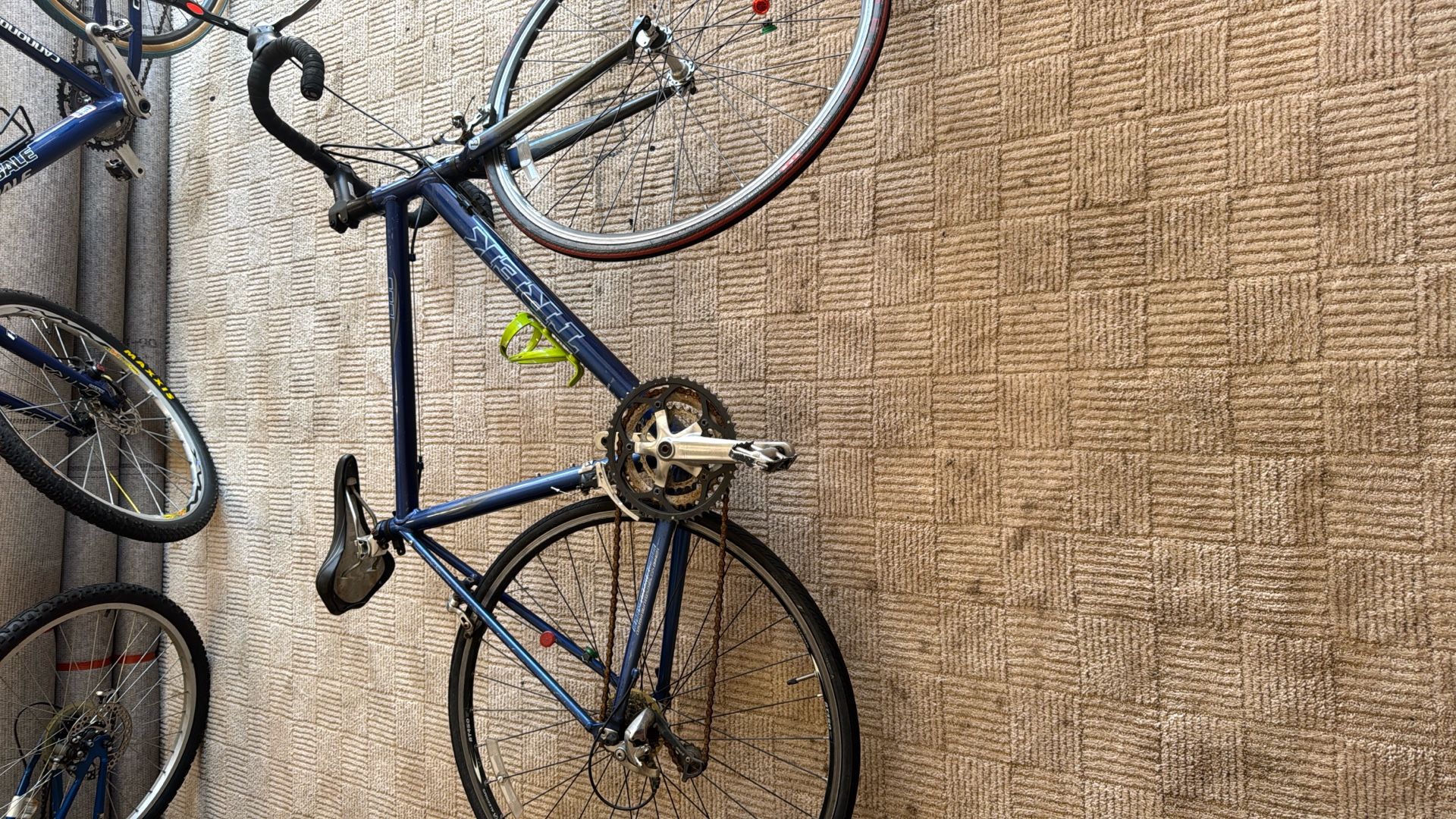Trek  Bicycle