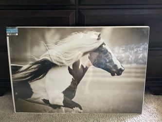 Horse Wall Art 