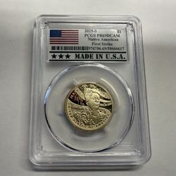 Native American $1 First Strike 