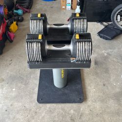 DUMB BELLS 