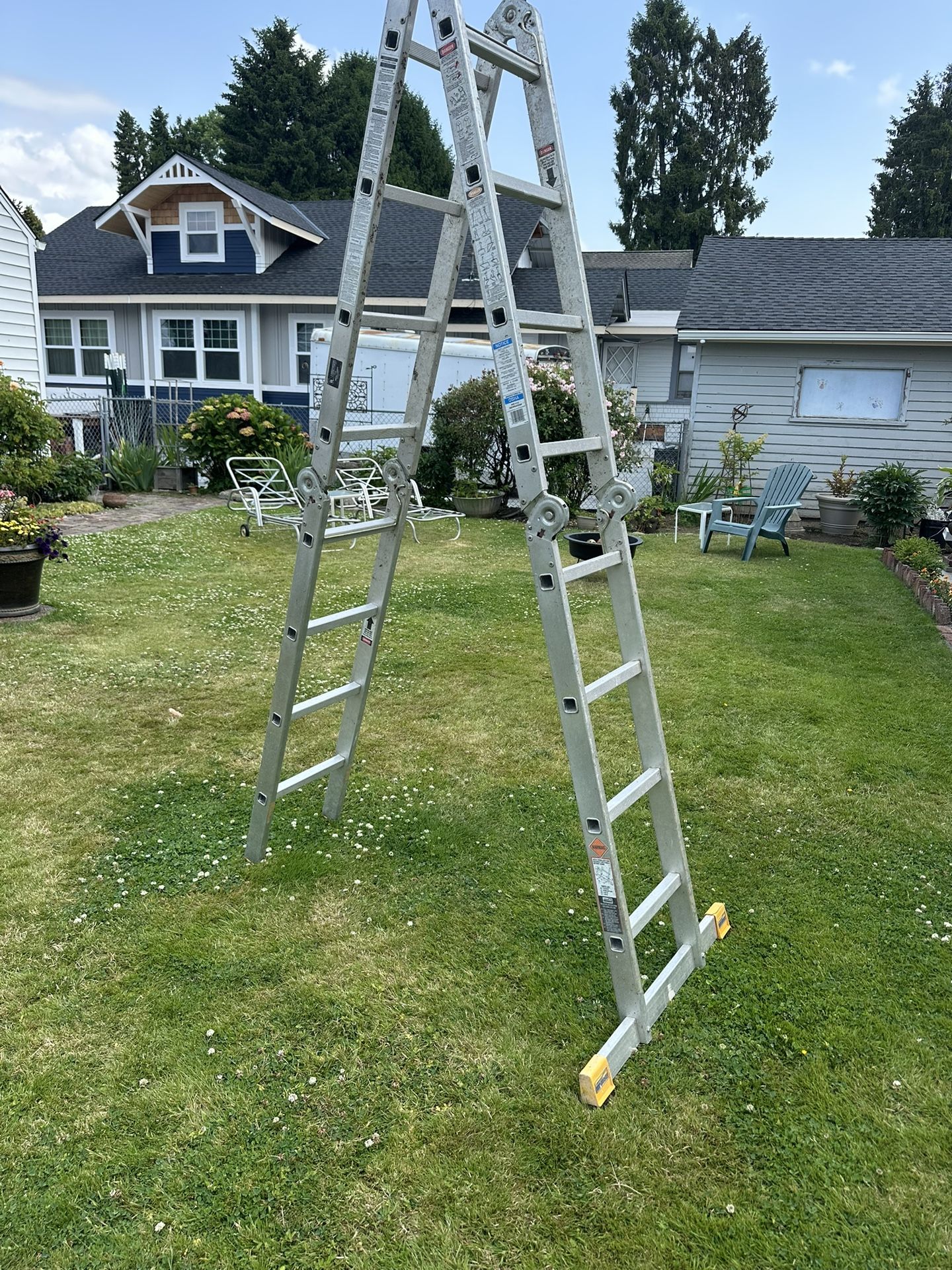 Folding Ladder