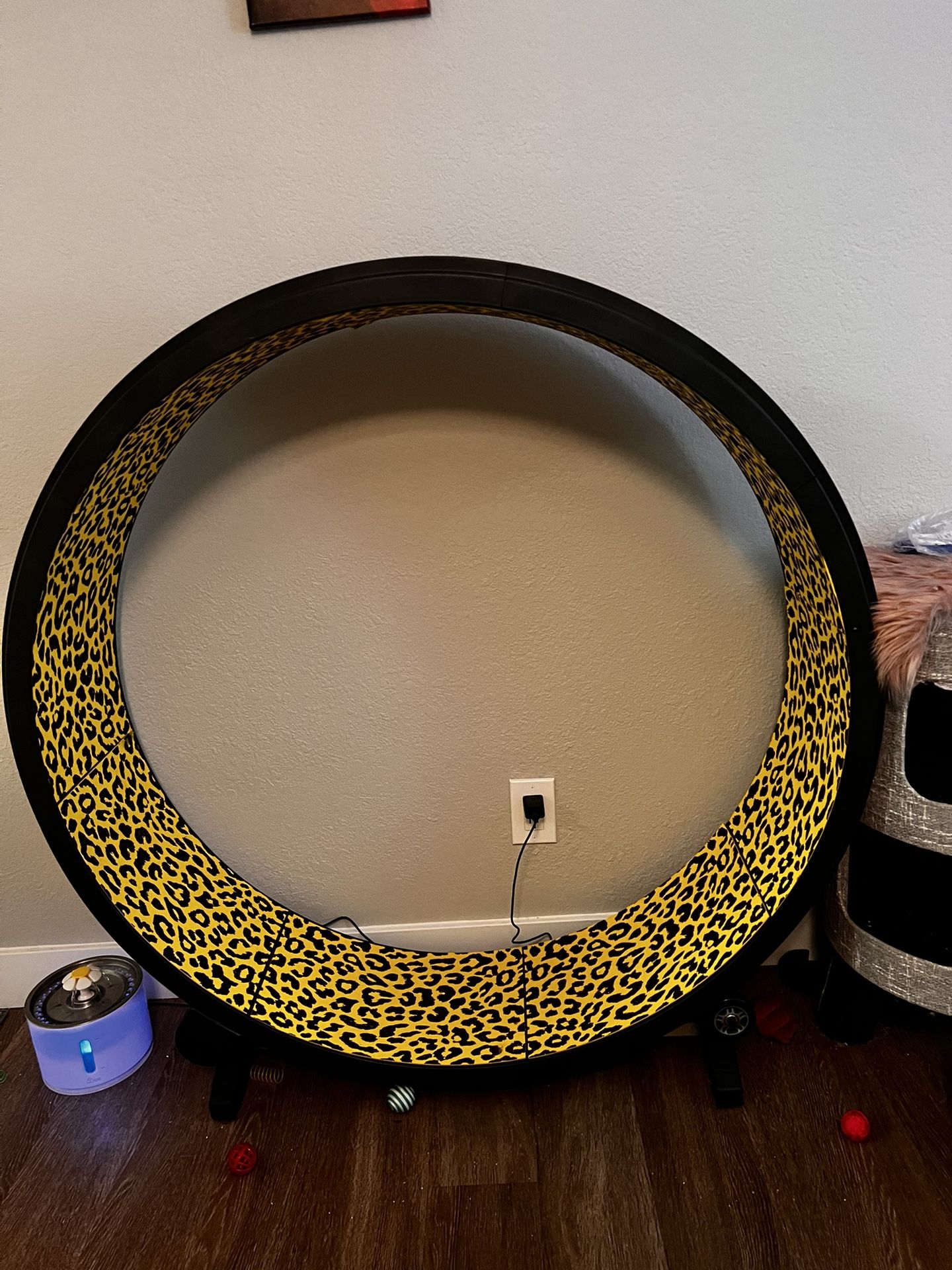 One Fast Cat Cat Wheel