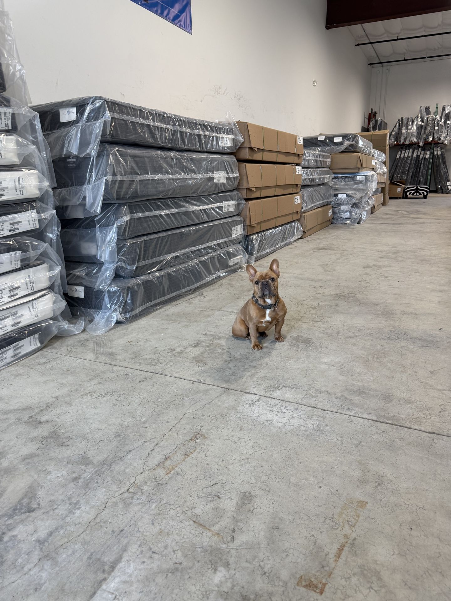 MATTRESS CLEARANCE. King Queen full And Twin Mattresses Available