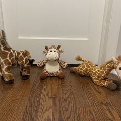Three Giraffe Stuffed Animals 