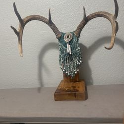 Deer Antler Decor/ Display