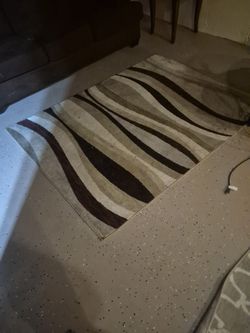 Area Rug 25 Dollars